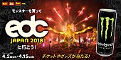 「世界一の“EDM×アート”フェス【EDC Japan 2018】5月に2days開催！ 「モンスターエナジー」購入でチケットが当たる」1枚目/4