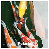 Ｐｏｌａｒｉｓ「」2枚目/3