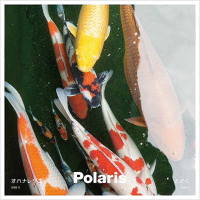 Ｐｏｌａｒｉｓ「」2枚目/3