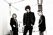 Ｔｈｅ　ｃｏｌｄ　ｔｏｍｍｙ「The cold tommy、ニューアルバム発売＆レコ発ツアーを発表」1枚目/1