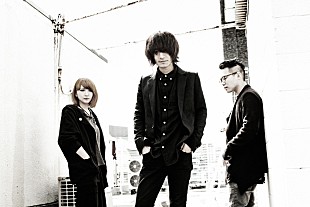 Ｔｈｅ　ｃｏｌｄ　ｔｏｍｍｙ「The cold tommy、ニューアルバム発売＆レコ発ツアーを発表」