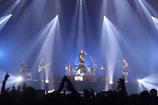 SPYAIR「8,000人動員の【Tokyo Street Collection】で、SPYAIR、175R、祭nine.、ソナポケら熱唱」