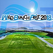 ウカスカジー「【WILD BUNCH FEST. 2018】第2弾発表にはウカスカジー、BiSHなど14組が追加」1枚目/1