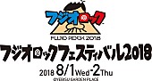 電気グルーヴ「電気グルーヴ、矢野顕子、THE BEATNIKSら出演【フジオロックフェスティバル2018】開催決定」1枚目/1