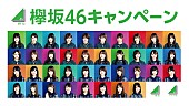 欅坂46「」2枚目/2