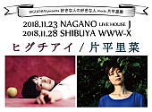 ヒグチアイ「ヒグチアイ、11月に片平里菜との2マンライブ開催決定」1枚目/5