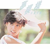 柏原芳恵「」10枚目/15