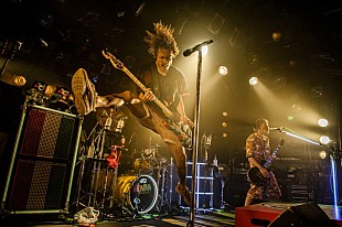 WANIMA「WANIMA、エビバデツアー渋谷クラブクアトロ公演で700人大熱狂」