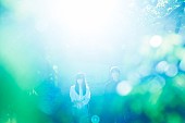 ｔｉ－ｔｉ．ｕｕ「345（凛として時雨）のユニット・ti-ti.uu、TKがエンジニア担当のミニAL収録曲MV公開」1枚目/2