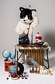 「猫のミュージシャン “むぎ(猫)”2019年3月メジャーデビュー発表」1枚目/3