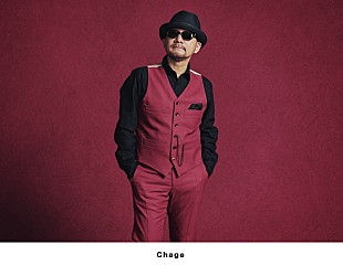 Ｃｈａｇｅ「Chageら出演【僕らのポプコンエイジ2019】開催決定　新企画“オープニングアクトを目指せ！”も」