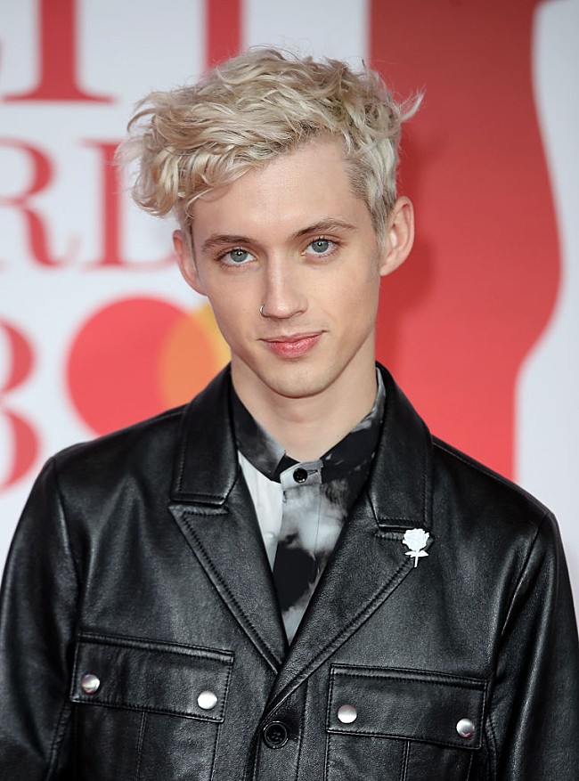 「トロイ・シヴァン、自ら描いた絵画をLGBTQチャリティーのためにオークション」1枚目/1