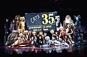 劇団四季「【キャッツ】、日本上演35周年を迎え特別カーテンコールを実施」1枚目/2