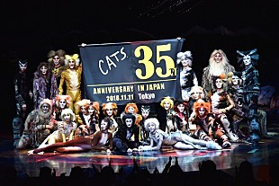 劇団四季「【キャッツ】、日本上演35周年を迎え特別カーテンコールを実施」