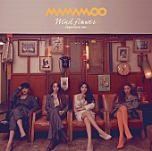 MAMAMOO「MAMAMOO、2ndシングルの詳細発表&amp;amp;リリースイベント決定」1枚目/4