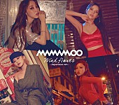 MAMAMOO「」4枚目/4