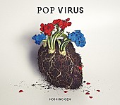 星野源「【ビルボード】星野源『POP VIRUS』がダウンロードAL2連覇　『アリー/スター誕生』サントラが浮上」1枚目/1