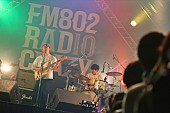SUPER BEAVER「never young beach/L-STAGE　写真：FM802」169枚目/282