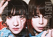 春ねむり「春ねむり×DJ後藤まりこ、中国3都市でスプリット・ツアー開催」1枚目/1