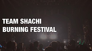 「TEAM SHACHI、初のフリーライブより「BURNING FESTIVAL」ライブ映像公開」