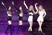 BLACKPINK「BLACKPINK、米TV番組『ザ・レイト・ショー』への出演も決定」1枚目/1