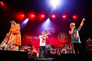 「ウルフルズ、対バンツアーで氣志團とともに「ガッツだぜ!!」をセッション」