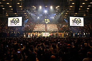 「ゆず、スタレビ、家入レオ、ジェニーハイらが集結！【LIVE SDD 2019】で飲酒運転撲滅への誓いも新たにメッセージを発信」