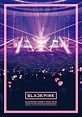 BLACKPINK「BLACKPINK、3月22日発売のLIVE DVD &amp;amp; Blu-rayのジャケット写真とトレーラー映像を公開」1枚目/1