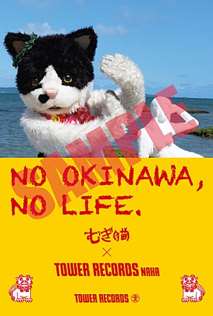 「むぎ（猫）の特番が生配信＆「NO OKINAWA, NO LIFE.」ポスターに登場」