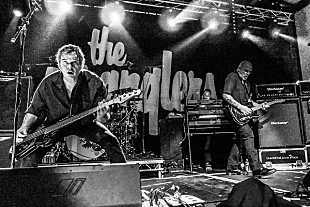 「ザ・ストラングラーズ、27年ぶり単独来日公演決定」