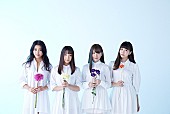 ９ｎｉｎｅ「9nine、活動休止前ラストライブBDリリース＆WIZY限定版発売決定」1枚目/4