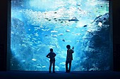 米津玄師「米津玄師＆原作・五十嵐大介、映画『海獣の子供』の公開を記念し対談」1枚目/1