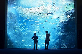 「米津玄師＆原作・五十嵐大介、映画『海獣の子供』の公開を記念し対談」