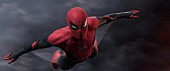 「『スパイダーマン：ファー・フロム・ホーム』公開記念 特製フィギュアをプレゼント」1枚目/2