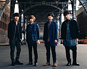 Official髭男dism「Official髭男dism、新曲「宿命」MVティザー映像＆新ビジュアル画像を解禁」1枚目/1