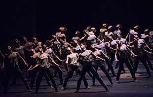 「ロイヤル・バレエ 劇場公開最新作のパンフレットをプレゼント」