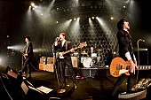 THE BAWDIES「THE BAWDIES、アニヴァーサリーを超えて進んでいくバンドの思いがあったツアー東京公演」1枚目/1