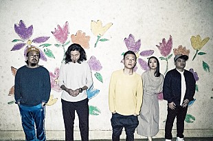 「bonobos、2019年末に東名阪ワンマンツアー開催」