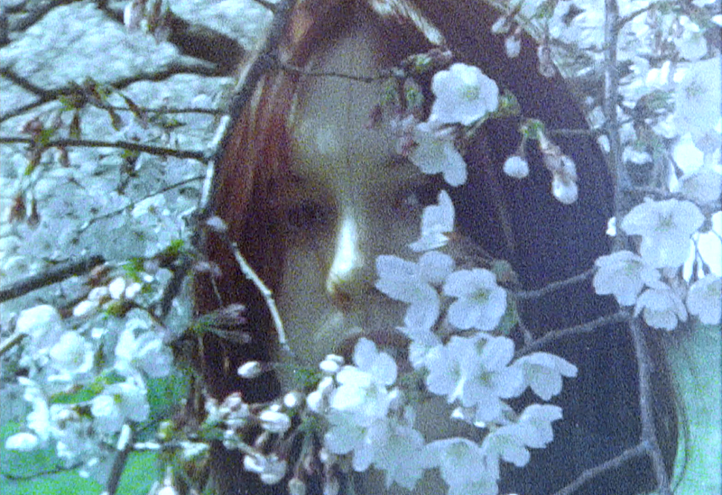 For Tracy Hyde、ニュー・アルバム収録曲「櫻の園」MV公開 