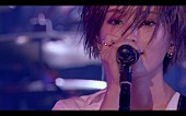 山本彩「山本彩、「Are you ready？」ライブ映像公開」1枚目/1