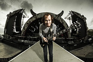 「米モンタナ州でAC/DCの「Hell’s Bells」を流し、バイソンを追い払っていることが明らかに」