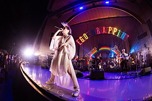 「EGO-WRAPPIN'、年末恒例ワンマン【Midnight Dejavu】開催日程発表」