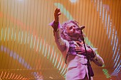 ザ・フレーミング・リップス「＜ライブレポート＞【Desert Daze 2019】1日目、The Flaming Lips/注目のバンドPost Animal登場」1枚目/9