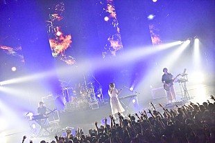 「ねごと、ラストツアー映像作品より「水中都市」公開」