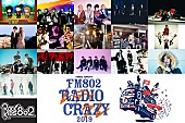 「FM802恒例ロック大忘年会【RADIO CRAZY】第2弾出演アーティスト＆出演日割り発表」1枚目/1