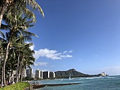 「ハワイの爽やかな風とハワイアン・ミュージック＜ハワイ・レポート＞」1枚目/1