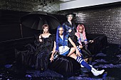 女王蜂「女王蜂、新曲「BL」が向井理主演ドラマのオープニングテーマに」1枚目/1