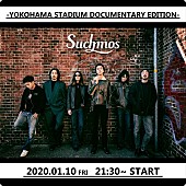 Suchmos「Suchmos、横浜スタジアム公演のドキュメンタリー＆ライブ映像を配信」1枚目/1