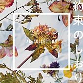 ＡＣＥ　ＣＯＬＬＥＣＴＩＯＮ「」2枚目/2