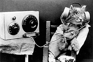 「Spotifyがペット専用プレイリストを開始」